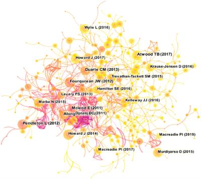 Environmental hotspots, frontiers and analytical framework of Blue Carbon research: a quantitative analysis of knowledge map based on CiteSpace